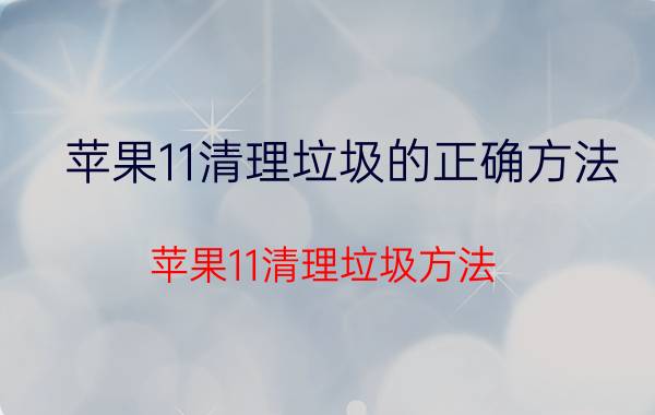 苹果11清理垃圾的正确方法 苹果11清理垃圾方法